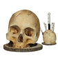 Creative Skull Resin Knife Holder