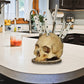 Creative Skull Resin Knife Holder